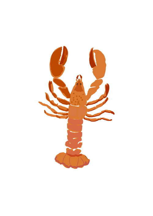 Ilustración Langosta
